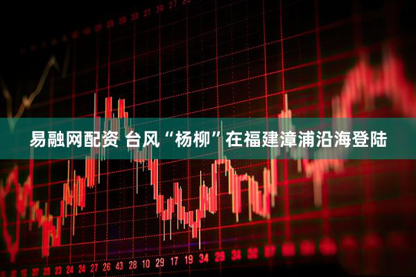易融网配资 台风“杨柳”在福建漳浦沿海登陆